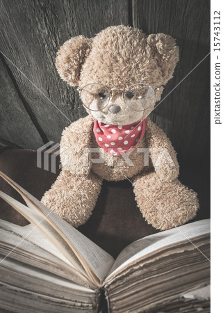 Children teddy bear with book 15743112