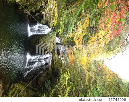 Autumn leaves Red Eyes Shiki Waterfall Autumn leaves Red Eyes Shiki Waterfall 15743906