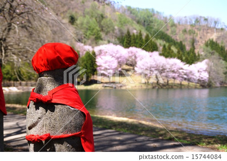 櫻花盛開,Jizo像中西湖 櫻花盛開,Jizo像中西湖 15744084