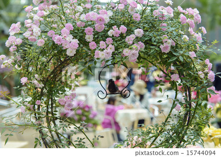 Arch of miniature Arch of miniature 15744094