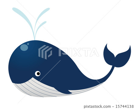 whale 15744138