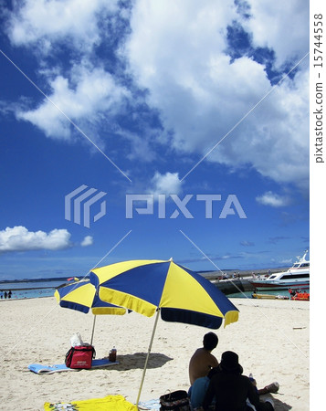 Poached beach 15744558