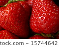 Strawberry  15744642