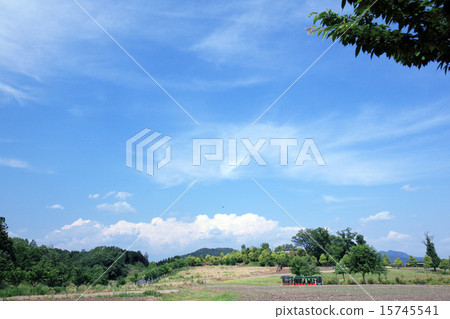 與藍天的風景 15745541