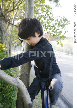 Boy climbing a tree 15745585