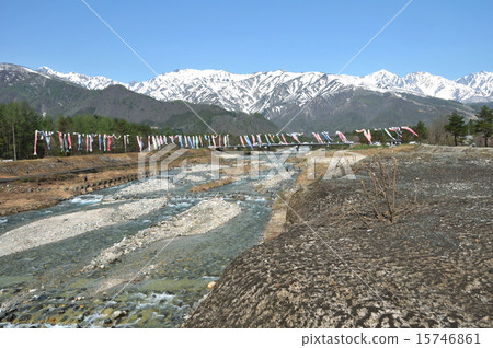 長野縣的白馬北阿爾卑斯山和平川的鯉魚旗 15746861