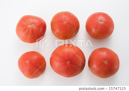 Tomato   15747125