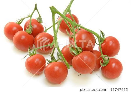 Delicious mini tomato 15747455