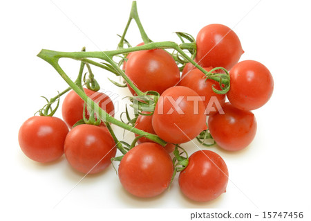 Delicious mini tomato 15747456