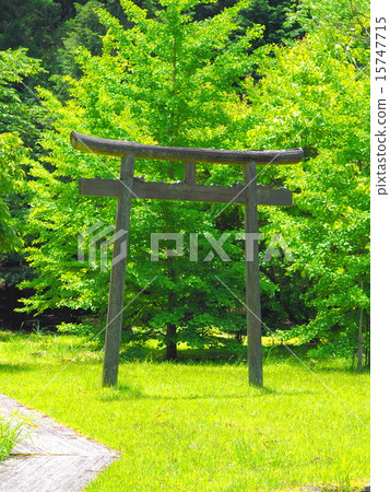 Shrine of Sarutobi's tombow group Shrine of Sarutobi's tombow group 15747715