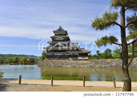 松本城 15747790