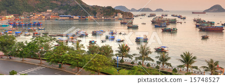 Cat Ba island colourful boats 15748527
