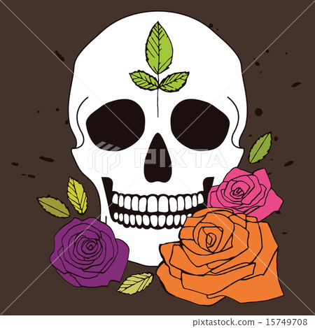 Simple skull with roses 15749708