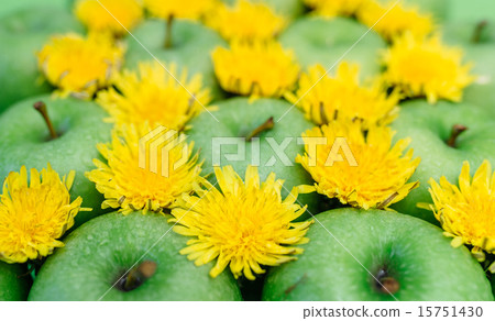 Green apple and dandelion Green apple and dandelion 15751430