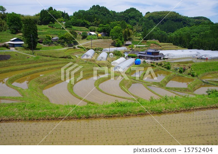 春天高森鎮杉山地區水稻種植後的稻田結束了 15752404