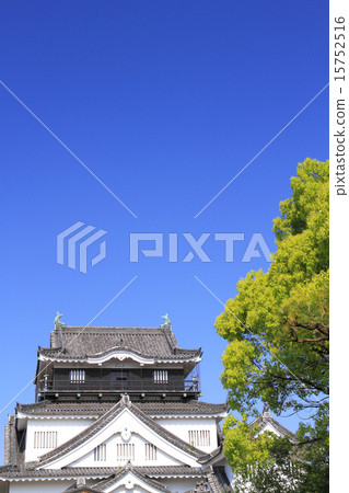 五月愛知岡崎城堡·聖殿酒吧和新鮮的綠色 15752516