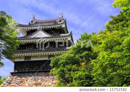 May Aichi Nishio Castle·Oda Tiger Oar 15752582