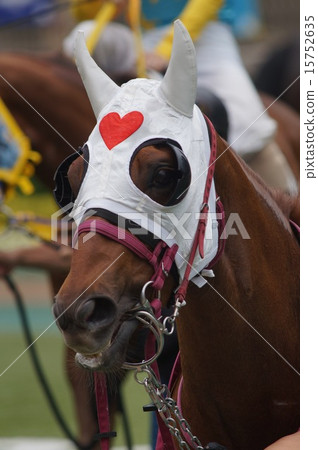 Horse's face Horse's face 15752635