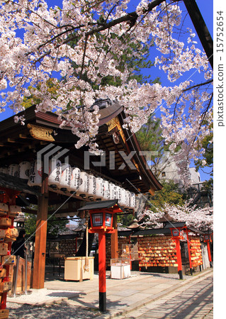 March Kyoto Yasui Kanrya Palace Hall and Sakura March Kyoto Yasui Kanrya Palace Hall and Sakura 15752654