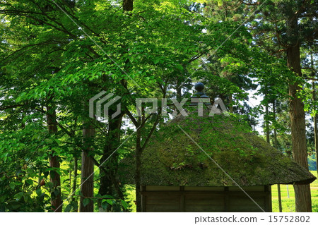 World Heritage Hiraizumi Chusonji Tatsuya Caves Himeku no Fudo 15752802