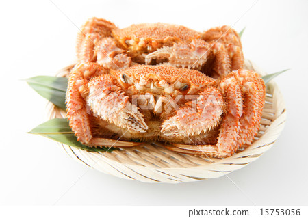  Hairy crab 15753056