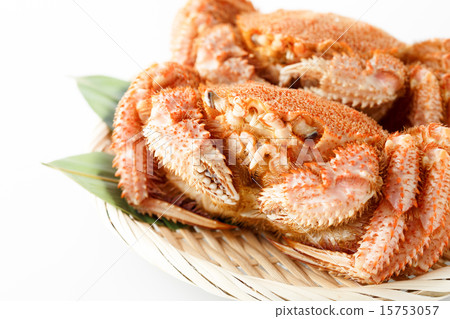  Hairy crab 15753057