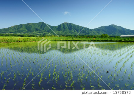 初夏時將Hiruzen倒置（岡山縣真庭市平山市） 15758573