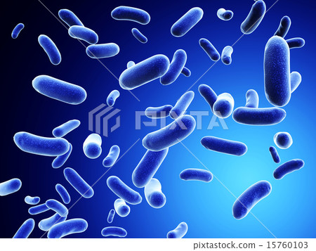 Colony of bacteria 15760103