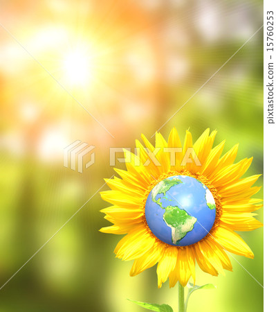 Sunflower and Earth on sunny background 15760253