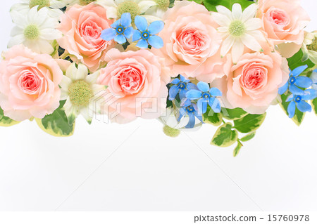 安排一朵淡粉紅色的玫瑰 安排一朵淡粉紅色的玫瑰 15760978