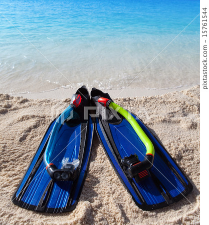 flippers on sand at sea edge 15761544