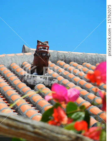 沖繩縣竹富島希薩 15762075