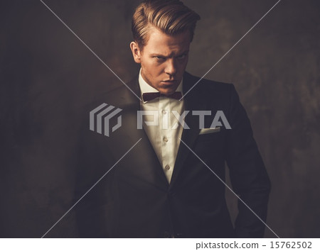 Sharp dressed fashionist wearing jacket and bow tie 15762502