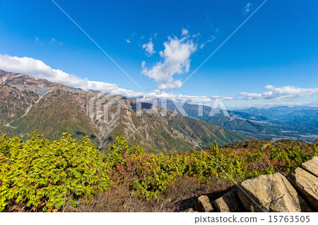 Hakuba Goryu 15763505