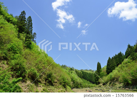 Fresh green season, Takatsuki City Niryo Satoyama May 15763566