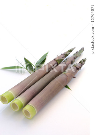 Bamboo shoots (Hachiku) 15764075