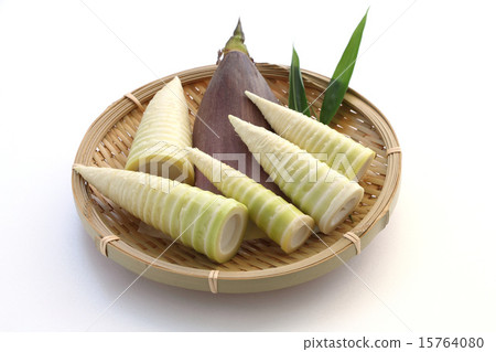 竹筍（Hachiku） 15764080