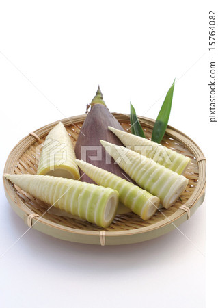 Bamboo shoots (Hachiku) Bamboo shoots (Hachiku) 15764082
