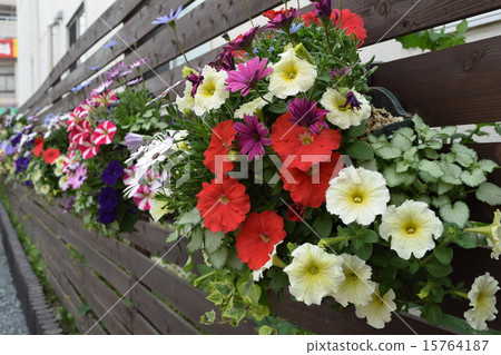 Hanking basket 15764187