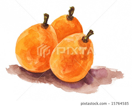 fruit, fruits, loquat 15764585