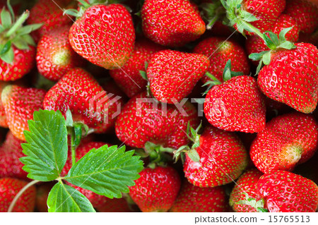 圖庫照片: fresh strawberry