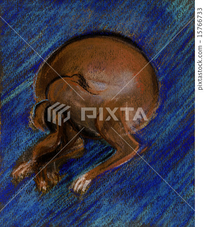 Dog on a dark blue carpet Dog on a dark blue carpet 15766733