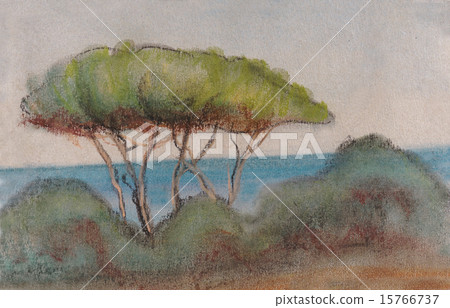 Pines on seacoast 15766737