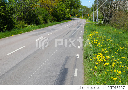 Blossom roadside 15767337