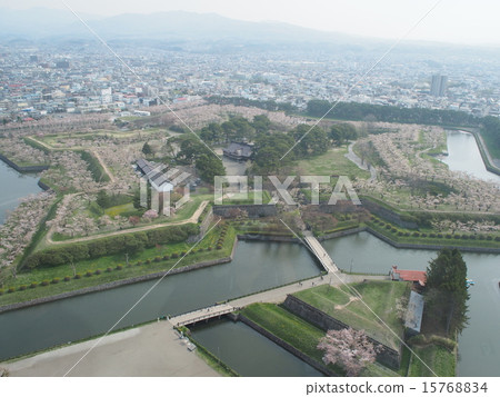 五面築城 15768834