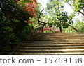 鎌倉的樓梯 15769138