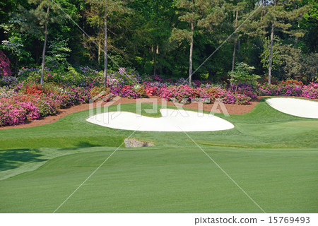 American Golf Course 15769493
