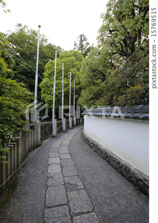 Takitani Immortality 15769515