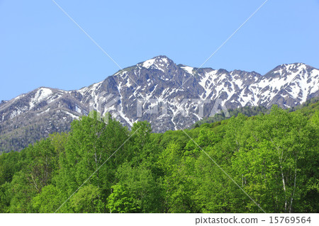 北海道富良野市新鮮的綠色森林和Ashibetsake 15769564