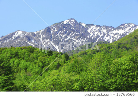 北海道富良野市新鮮的綠色森林和Ashibetsake 15769566